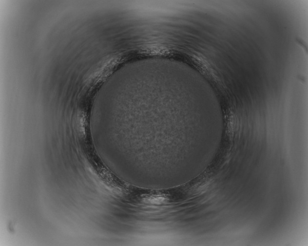 X0000103140643200809051615