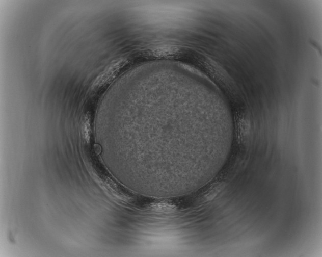 X0000103140644200809051615