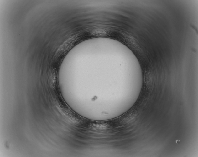 X0000103140645200809051615