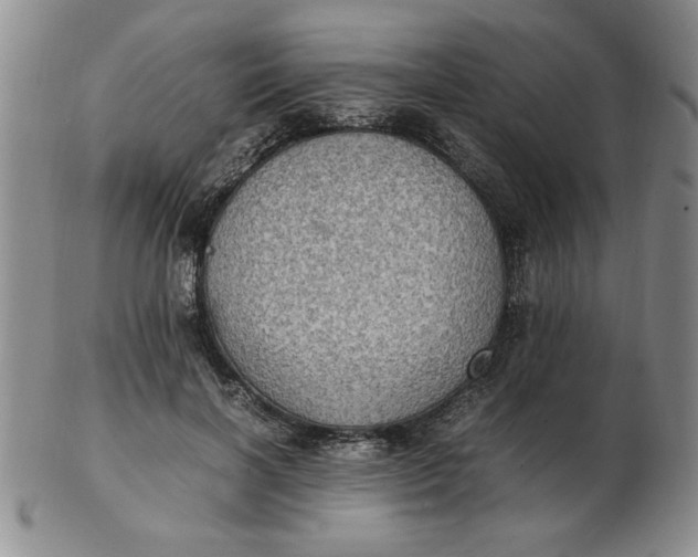 X0000103140646200809051615