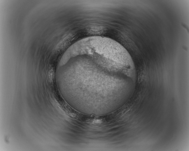 X0000103140647200809051615