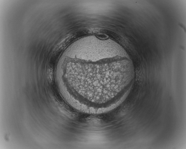 X0000103140648200809051615