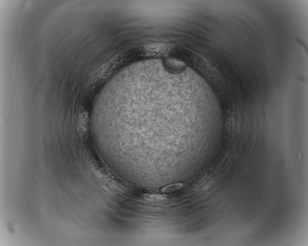 X0000103140649200809051615