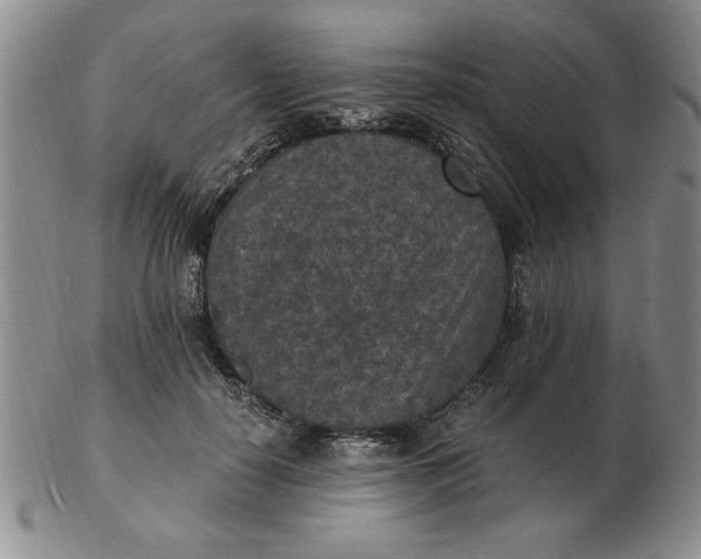 X0000103140650200809051615