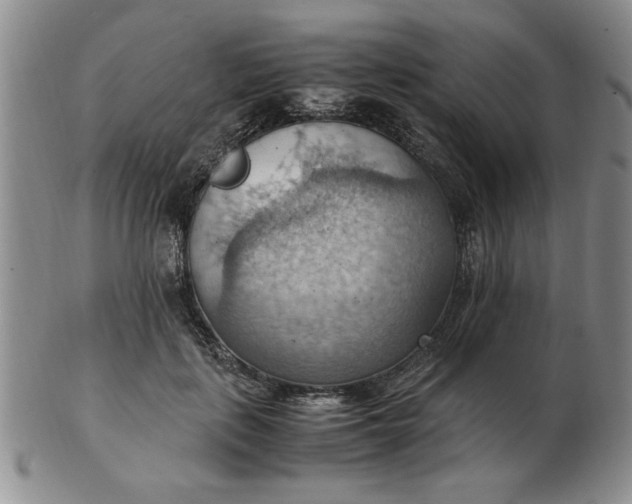 X0000103140651200809051615