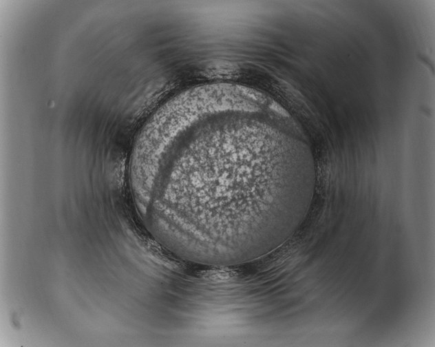 X0000103140652200809051615