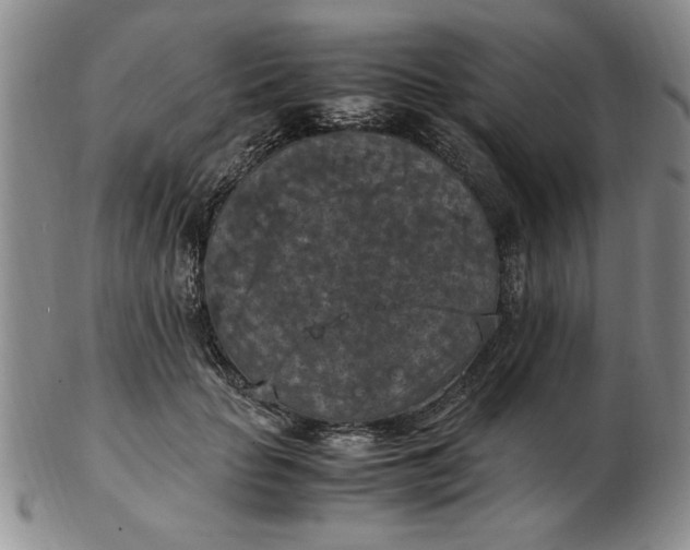 X0000103140653200809051615