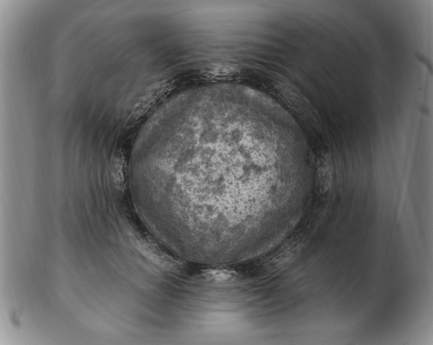 X0000103140654200809051615