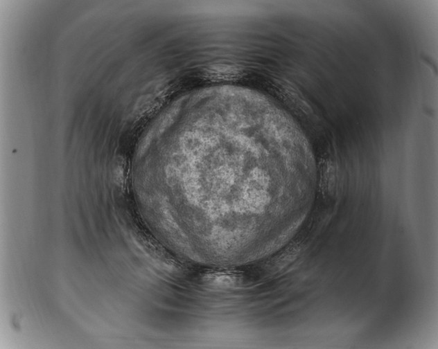 X0000103140655200809051616