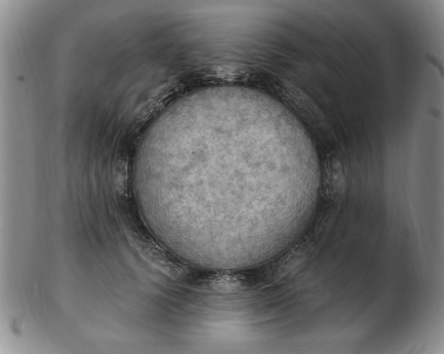 X0000103140656200809051616