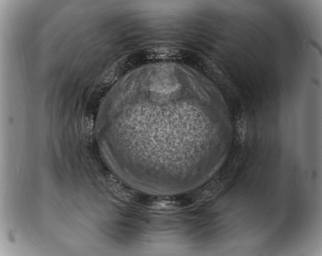 X0000103140657200809051616