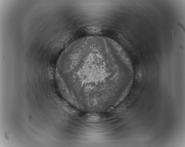 X0000103140658200809051616