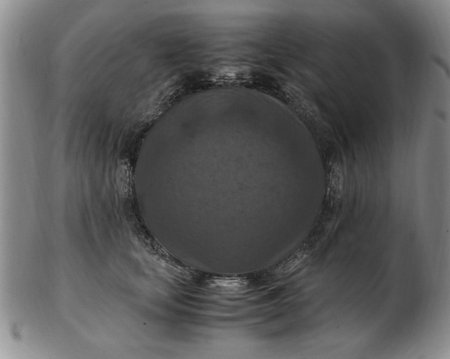 X0000103140659200809051616