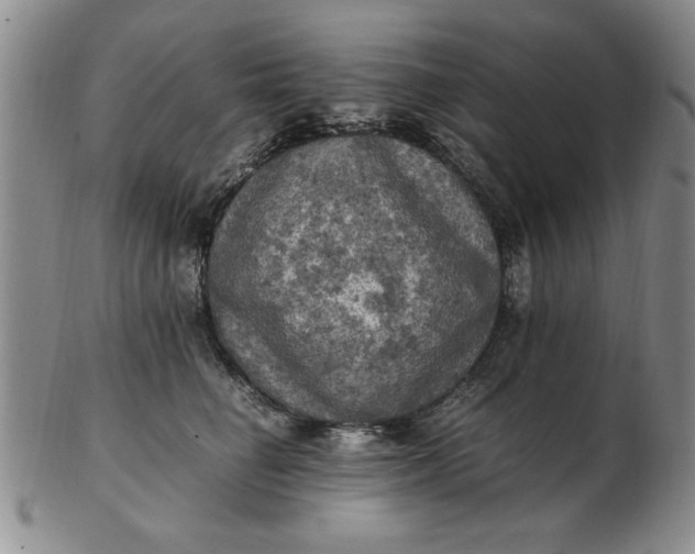 X0000103140662200809051616