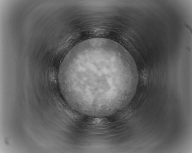 X0000103140663200809051616