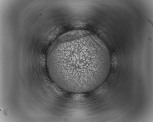 X0000103140664200809051616