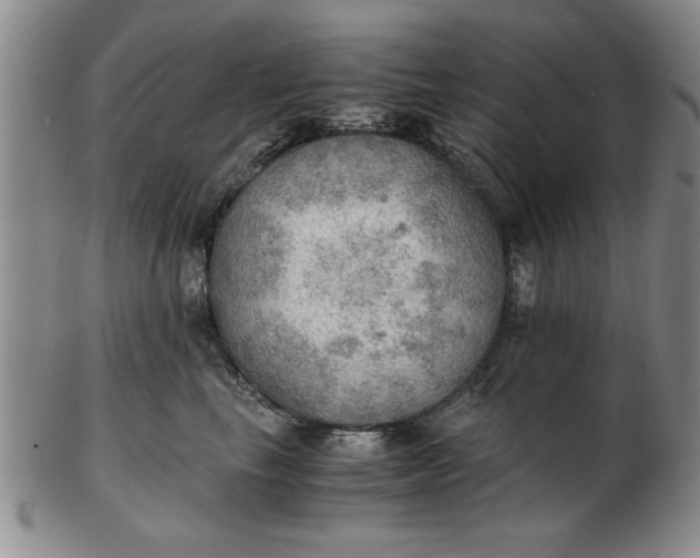 X0000103140665200809051616