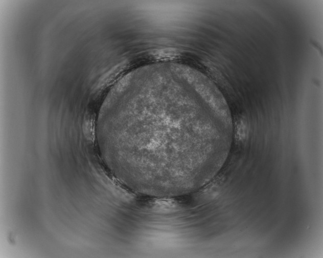 X0000103140666200809051616