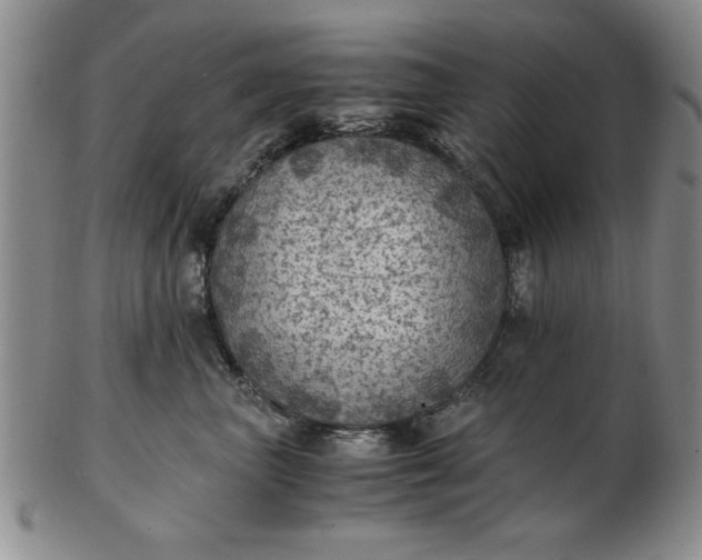 X0000103140667200809051616