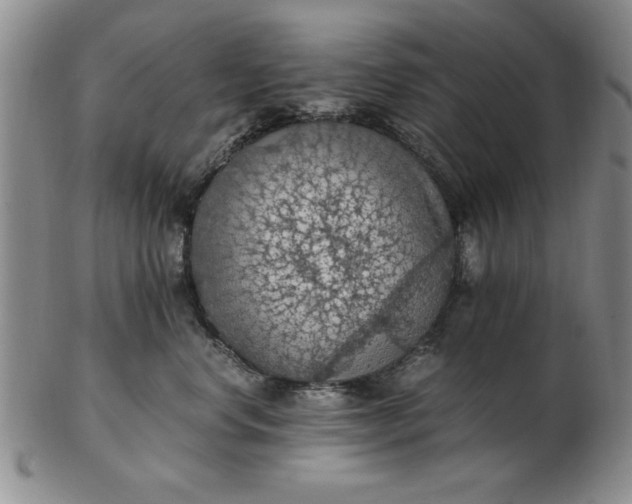 X0000103140668200809051616