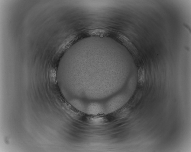 X0000103140669200809051616