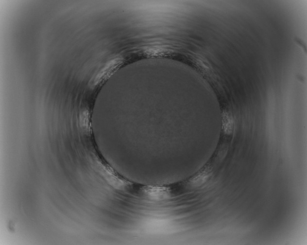 X0000103140670200809051616