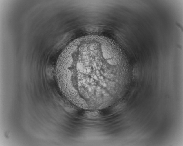 X0000103140671200809051616