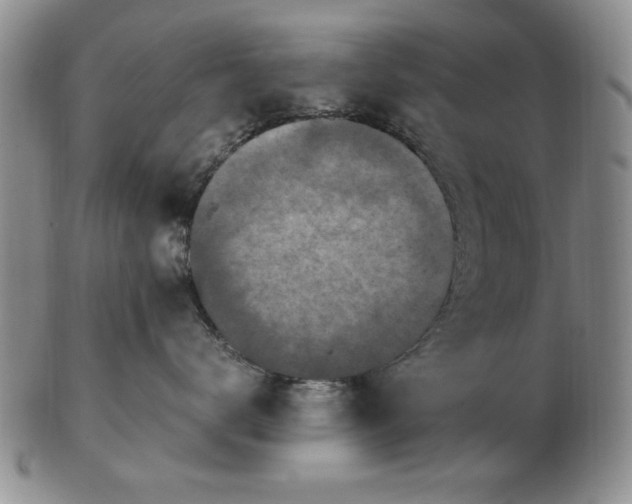 X0000103140672200809051616