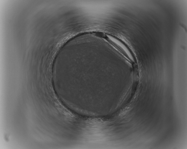 X0000103140673200809051615