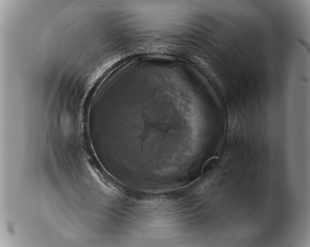 X0000103140674200809051615