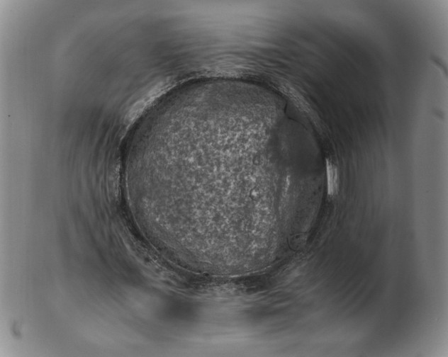 X0000103140675200809051615