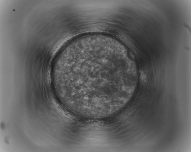 X0000103140676200809051615