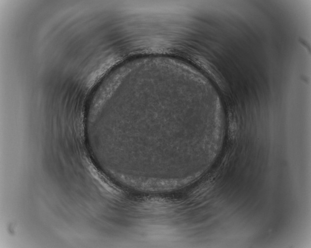 X0000103140677200809051615