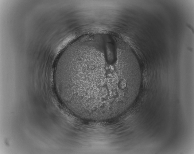 X0000103140679200809051615