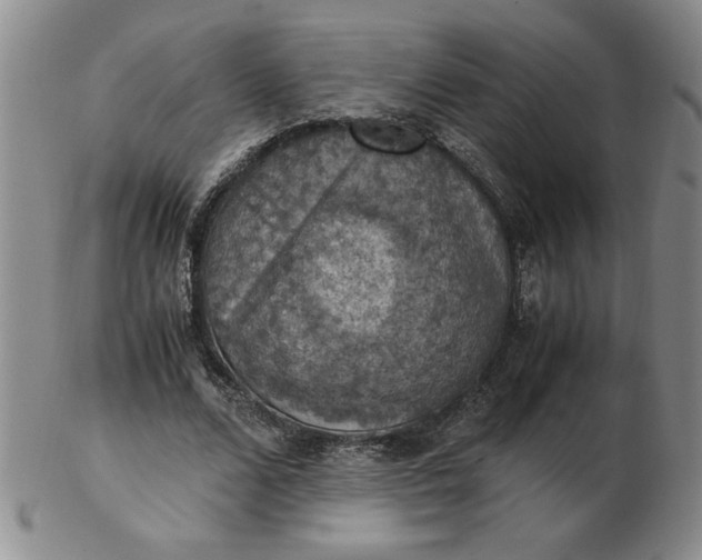 X0000103140680200809051615