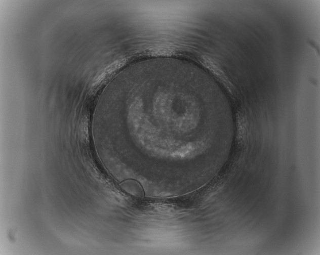 X0000103140681200809051615