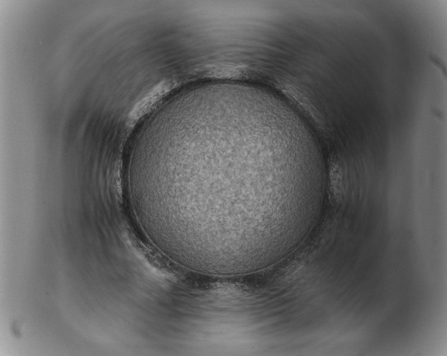 X0000103140682200809051615