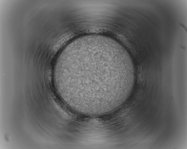 X0000103140683200809051615