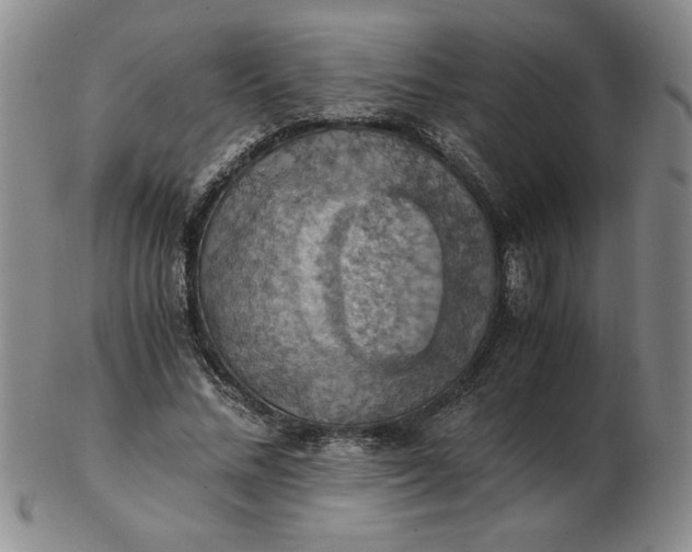 X0000103140684200809051615