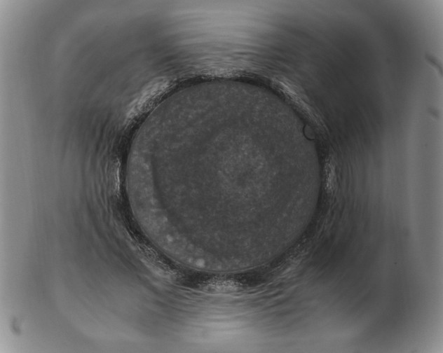 X0000103140685200809051615