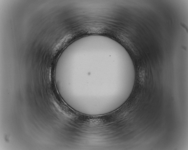 X0000103140686200809051615