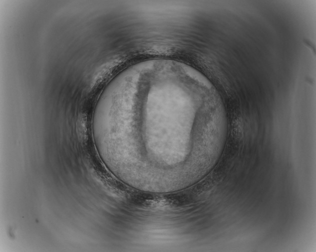 X0000103140688200809051615