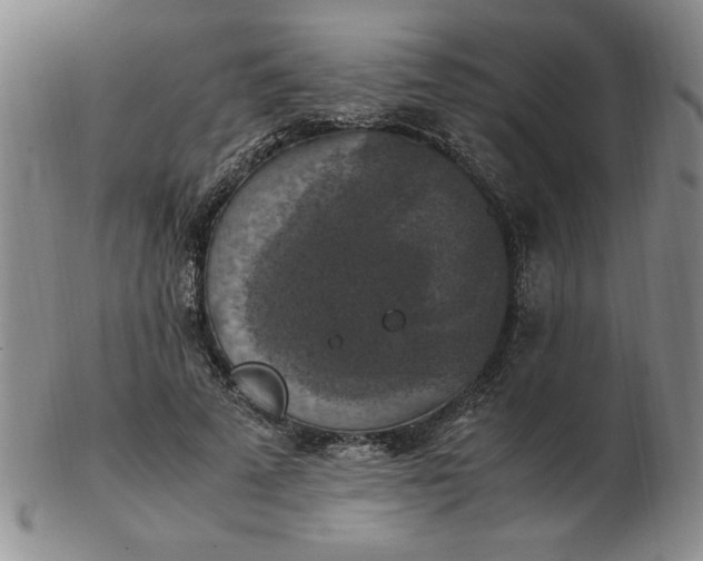 X0000103140689200809051615