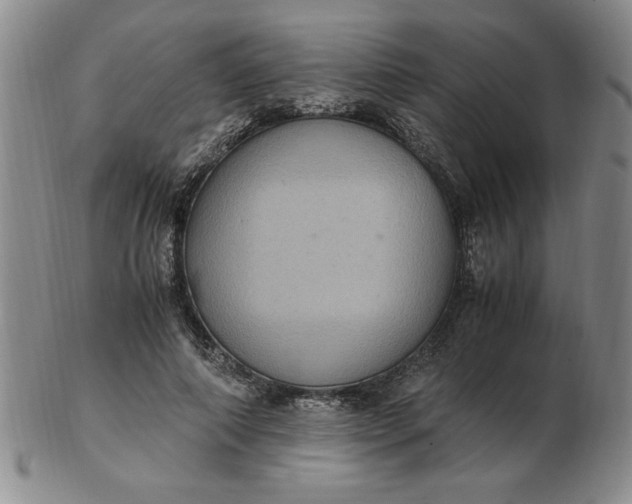 X0000103140690200809051615