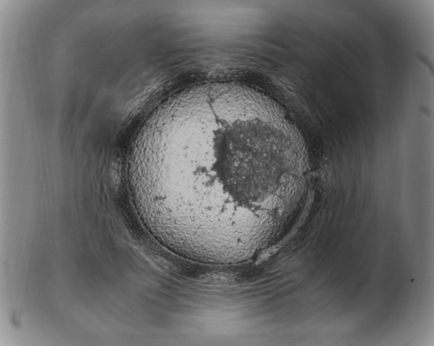 X0000103140691200809051615