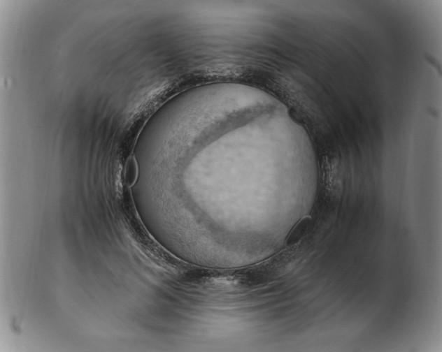 X0000103140692200809051615