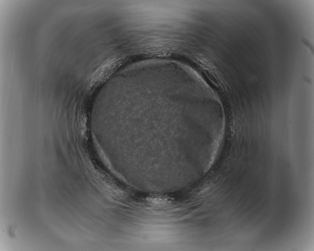 X0000103140693200809051615