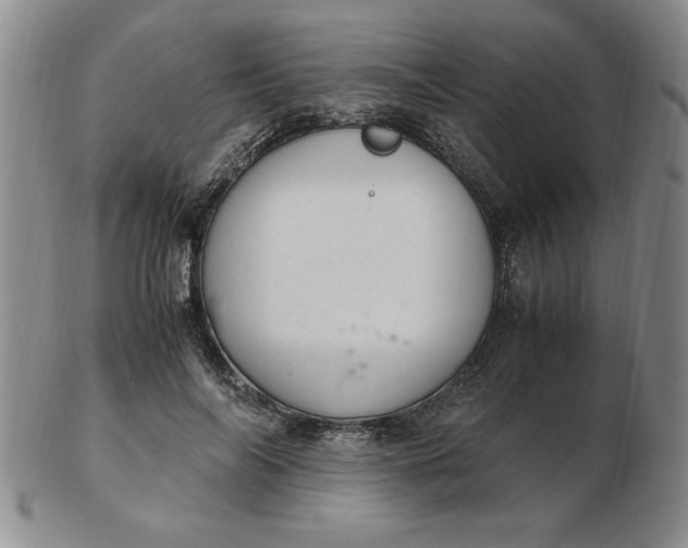 X0000103140694200809051615