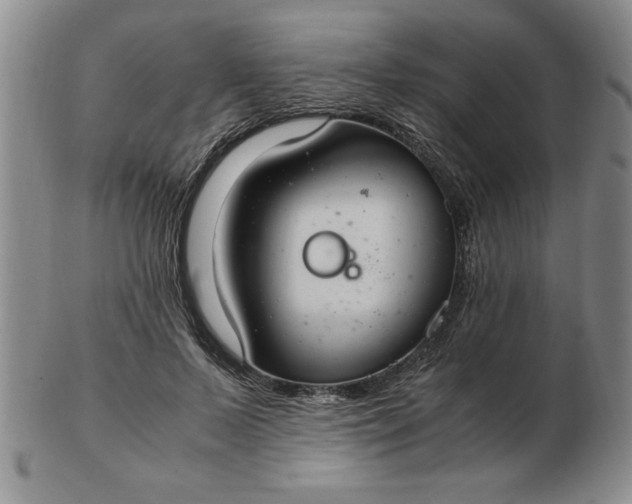 X0000103140695200809051615