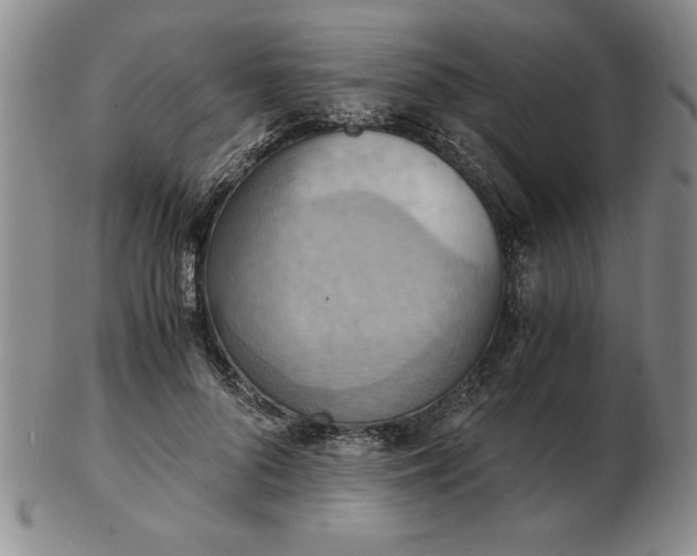 X0000103140696200809051615